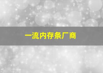 一流内存条厂商