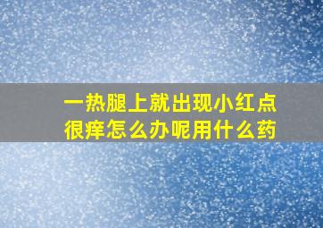 一热腿上就出现小红点很痒怎么办呢用什么药