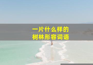 一片什么样的树林形容词语