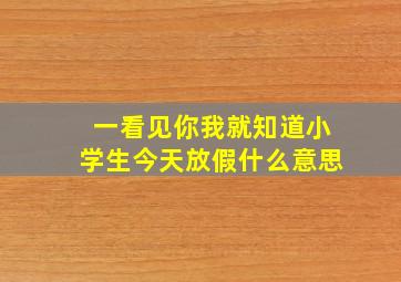 一看见你我就知道小学生今天放假什么意思