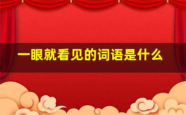 一眼就看见的词语是什么