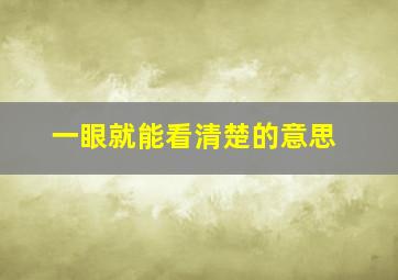 一眼就能看清楚的意思