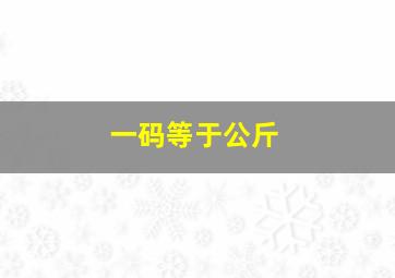 一码等于公斤