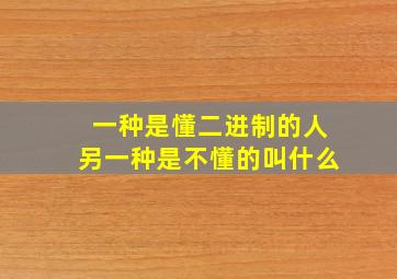 一种是懂二进制的人另一种是不懂的叫什么