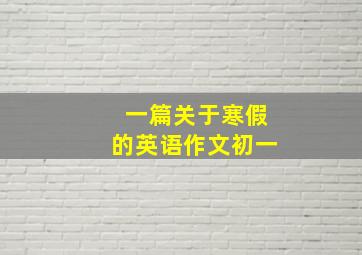 一篇关于寒假的英语作文初一