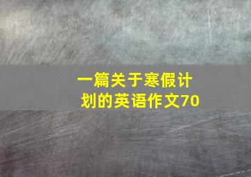 一篇关于寒假计划的英语作文70