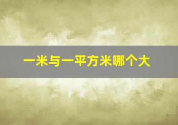 一米与一平方米哪个大