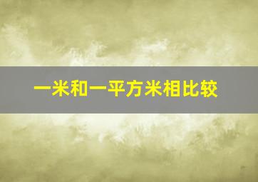 一米和一平方米相比较