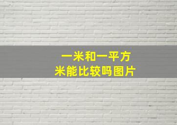 一米和一平方米能比较吗图片