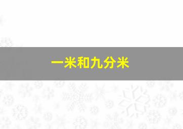 一米和九分米