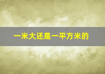 一米大还是一平方米的