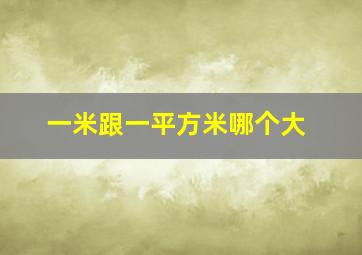 一米跟一平方米哪个大