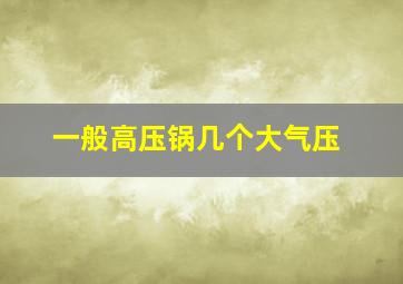 一般高压锅几个大气压