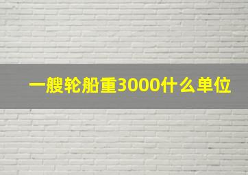 一艘轮船重3000什么单位