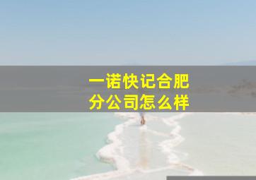 一诺快记合肥分公司怎么样