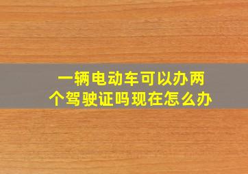 一辆电动车可以办两个驾驶证吗现在怎么办