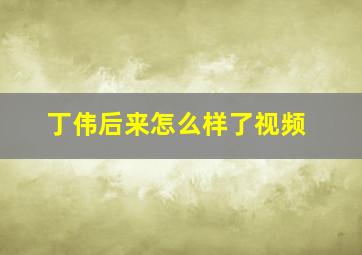 丁伟后来怎么样了视频