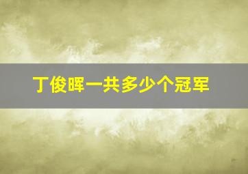 丁俊晖一共多少个冠军