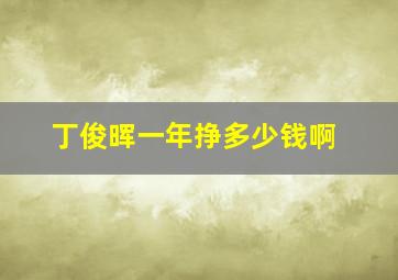 丁俊晖一年挣多少钱啊