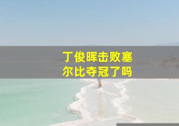 丁俊晖击败塞尔比夺冠了吗