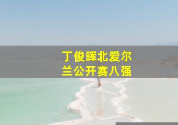 丁俊晖北爱尔兰公开赛八强