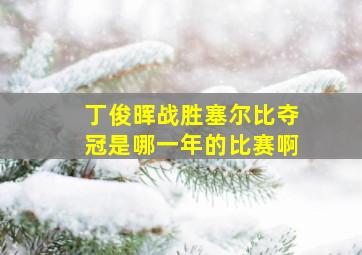 丁俊晖战胜塞尔比夺冠是哪一年的比赛啊