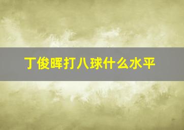 丁俊晖打八球什么水平