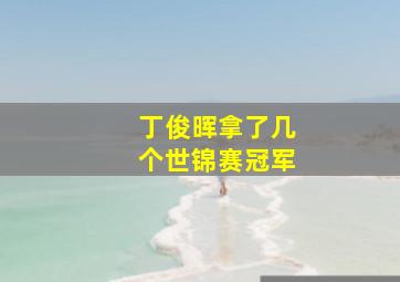 丁俊晖拿了几个世锦赛冠军