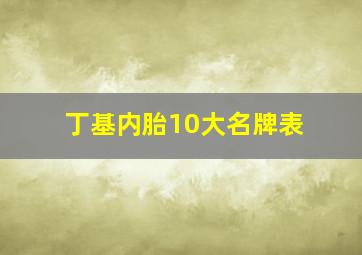 丁基内胎10大名牌表