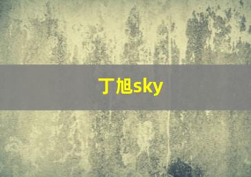 丁旭sky