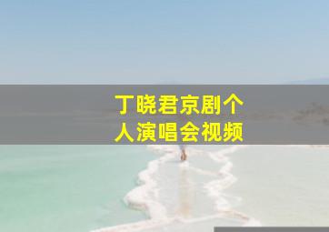 丁晓君京剧个人演唱会视频