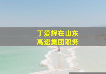 丁爱辉在山东高速集团职务