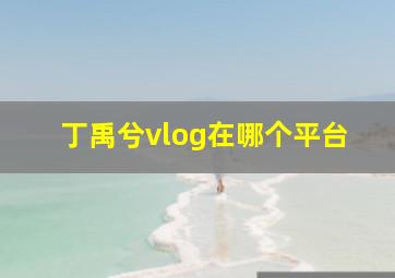 丁禹兮vlog在哪个平台