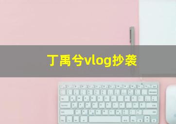 丁禹兮vlog抄袭