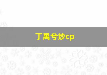 丁禹兮炒cp