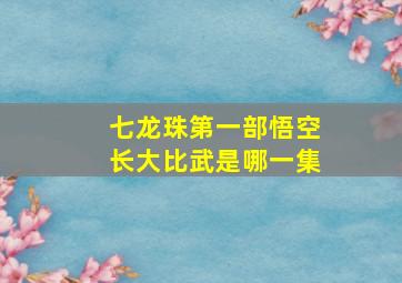 七龙珠第一部悟空长大比武是哪一集