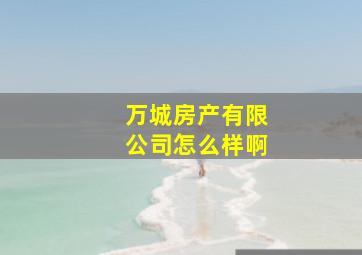 万城房产有限公司怎么样啊