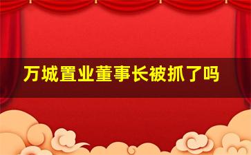 万城置业董事长被抓了吗