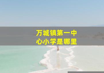 万城镇第一中心小学是哪里