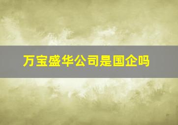 万宝盛华公司是国企吗