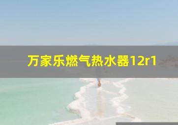 万家乐燃气热水器12r1