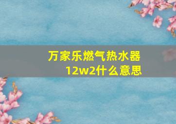 万家乐燃气热水器12w2什么意思