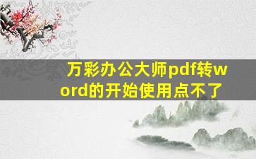 万彩办公大师pdf转word的开始使用点不了