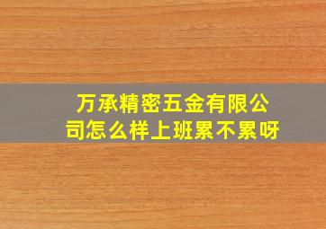 万承精密五金有限公司怎么样上班累不累呀