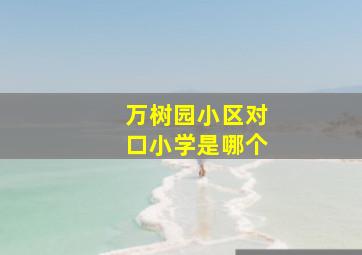 万树园小区对口小学是哪个