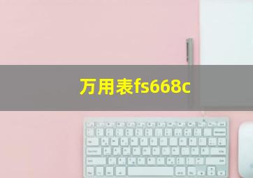 万用表fs668c