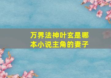 万界法神叶玄是哪本小说主角的妻子