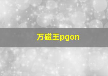 万磁王pgon