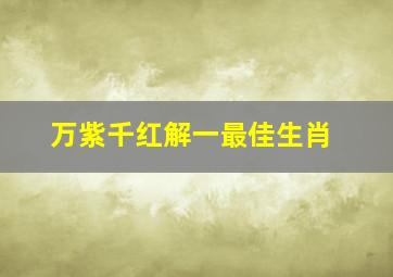 万紫千红解一最佳生肖