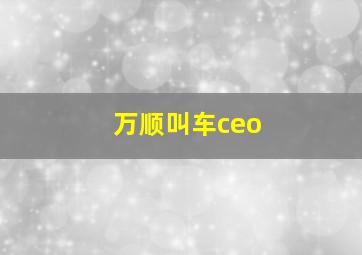 万顺叫车ceo